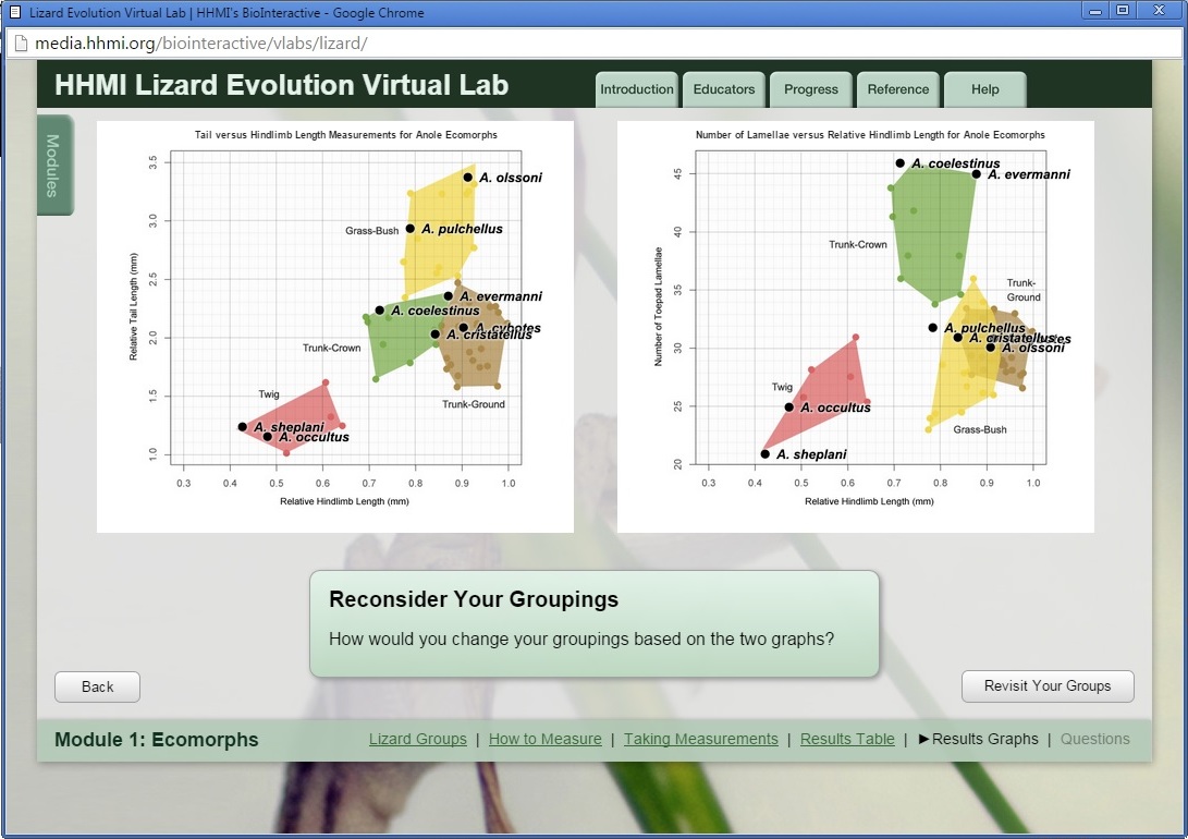 Biology 105: Lizard Evolution