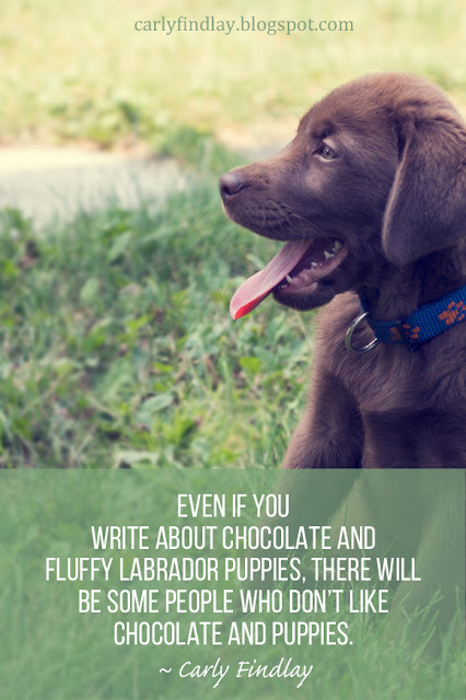 Pic of brown labrador puppy, quote: "Even if you write about chocolate and fluffy Labrador puppies, there will be some people who don’t like chocolate and puppies."