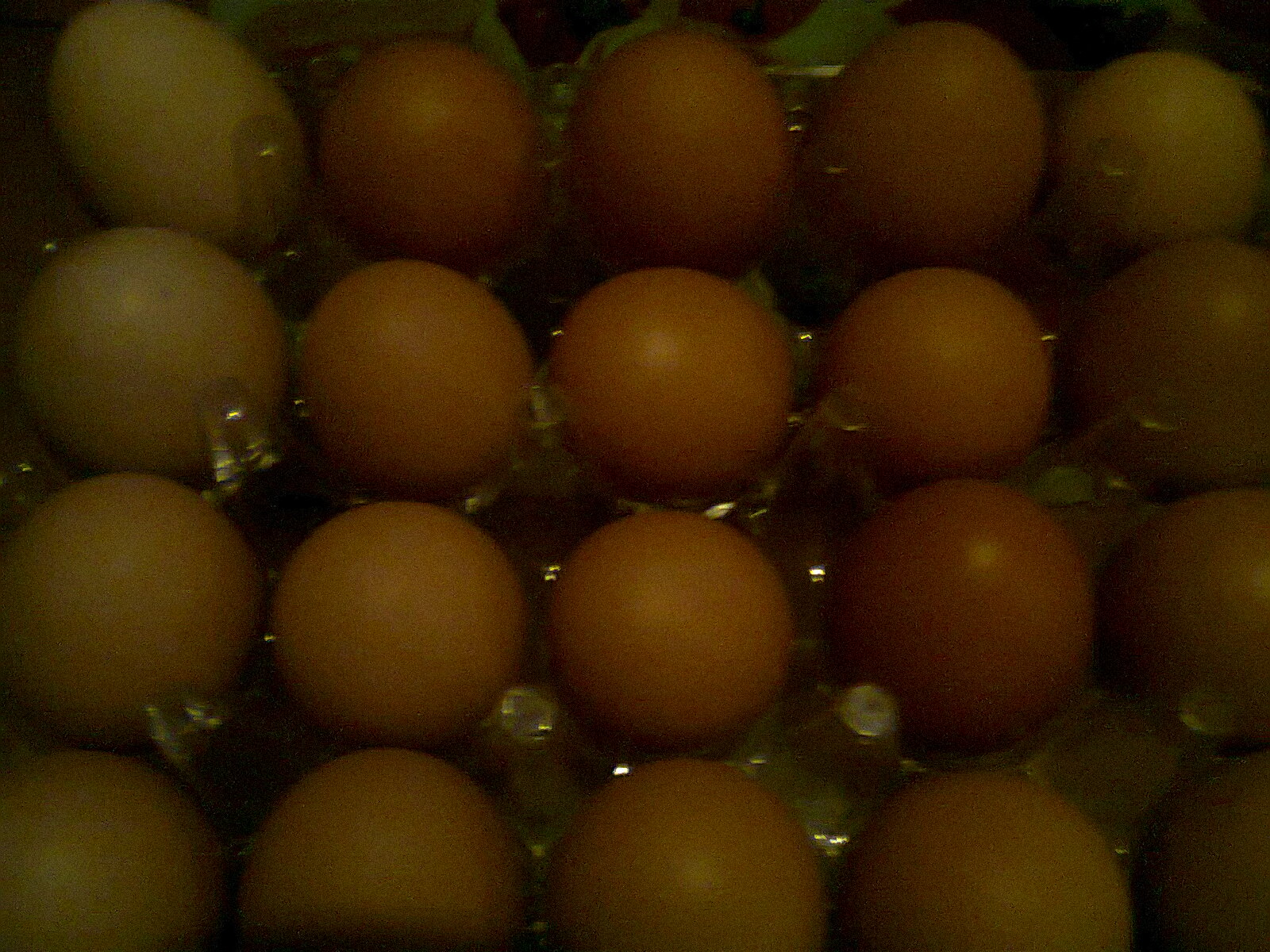 AGROVETERINARY BUSINESS . Eggs ,eggs and more eggs.