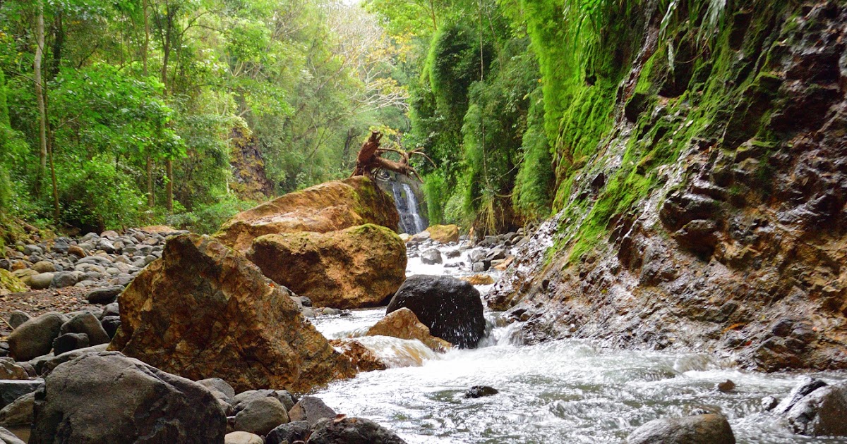 Rio Viejo Waterfall Photo