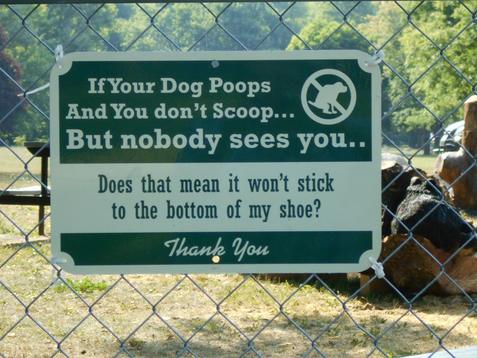 New York State of Mind SHORTSVILLE, NY DOG PARK