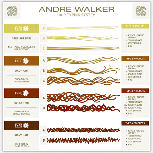 The Only Guide You Ll Ever Need For Hair Typing Natural Hair