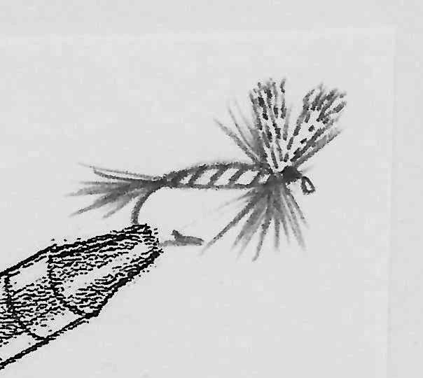 Fly Fishing with Doug Stewart: Tying The Professor Dry Fly