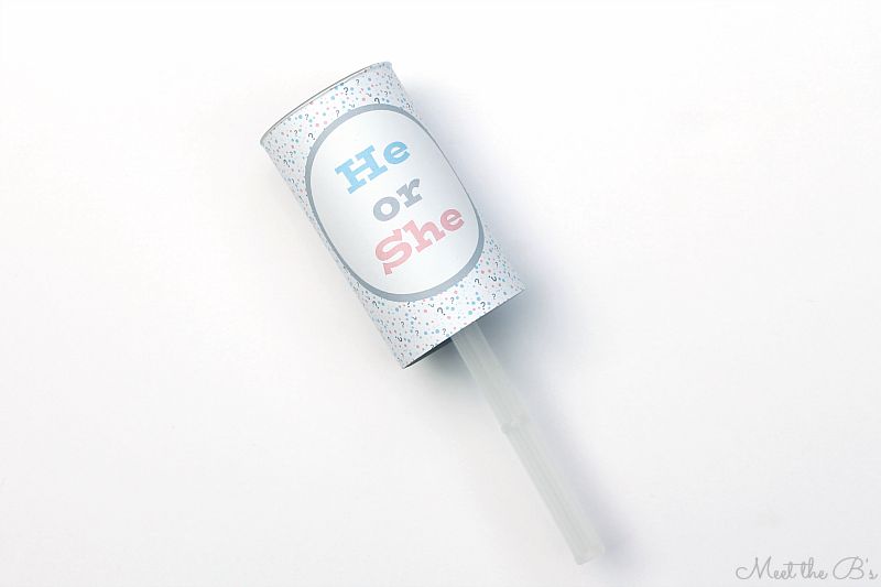 Easy DIY Gender Reveal Confetti Poppers The Inspired Hive