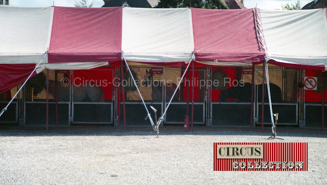 tente ecurie du Circus Fliegenpilz 