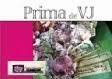 Prima Monthly WS 2010