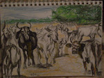 "Herd of Cattle" pencil drawing