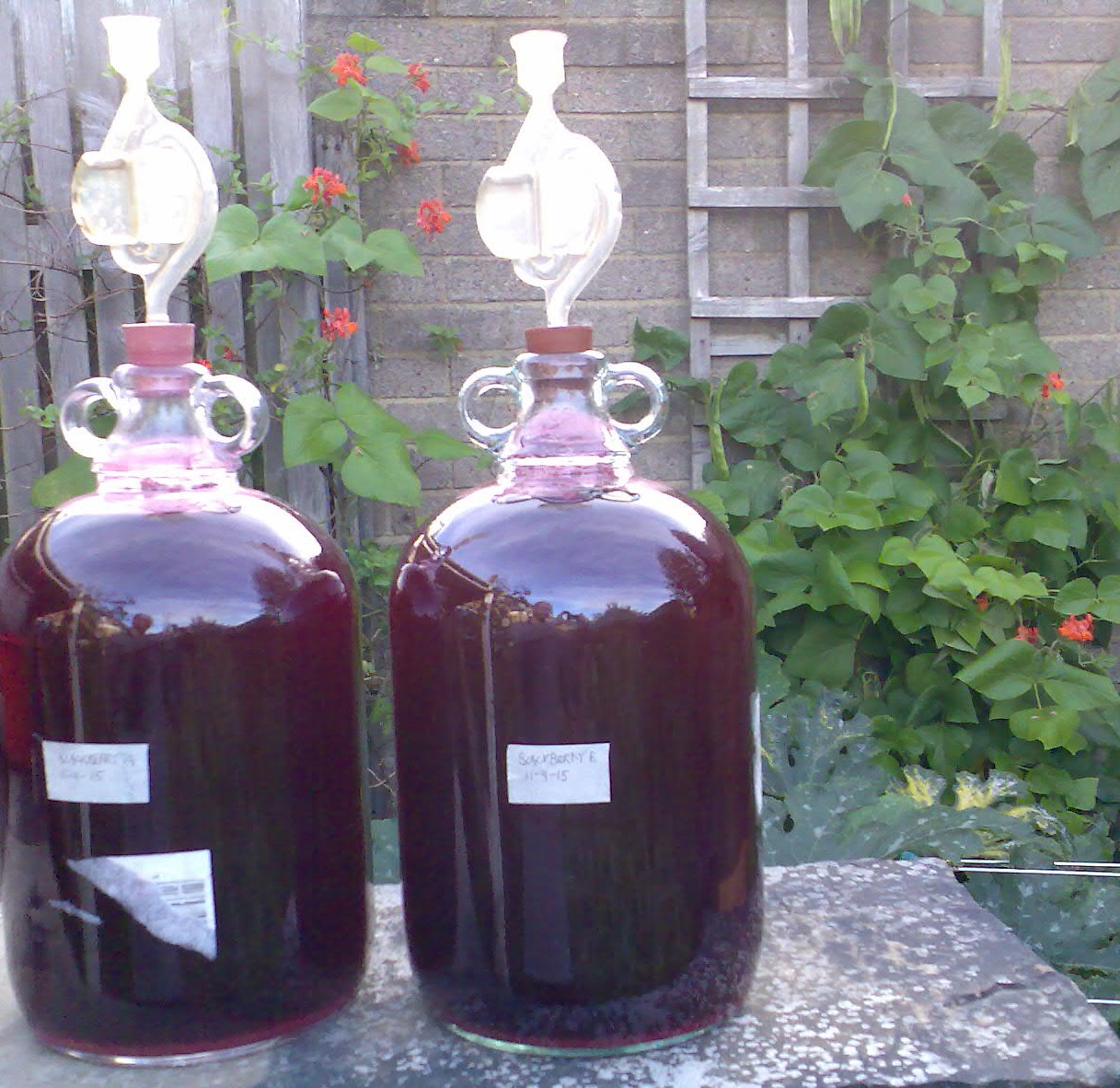 Ben's Adventures in Wine Making Blackberry Wine 2015 The Making Of