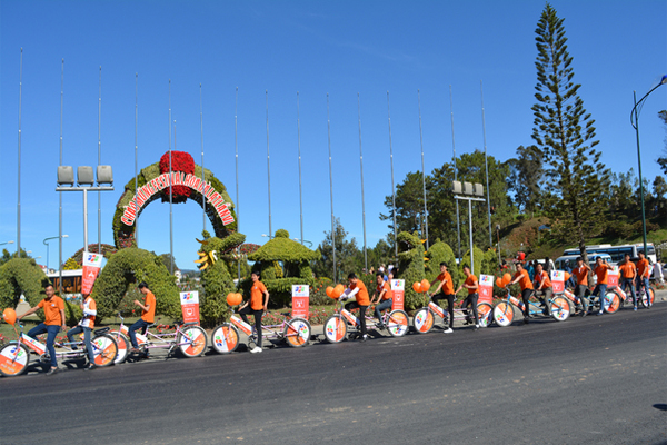 Quảng Bá Truyền Hình FPT Tại Lễ Hội Festival Hoa Đà Lạt 1 Quảng Bá Truyền Hình FPT Tại Lễ Hội Festival Hoa Đà Lạt 1
