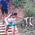 3º TRAIL ESCARPAS DE MACEIRA