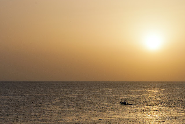 Anabelia Craft Design Anabelia Craft Design