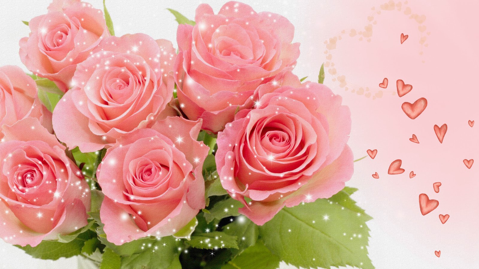 Pink Rose Wallpaperhttp://my143rose.blogspot.com/