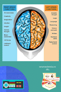 right brain vs left brain