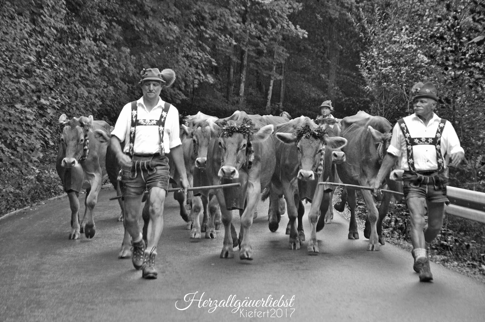 Fred Spahr Naturfotos