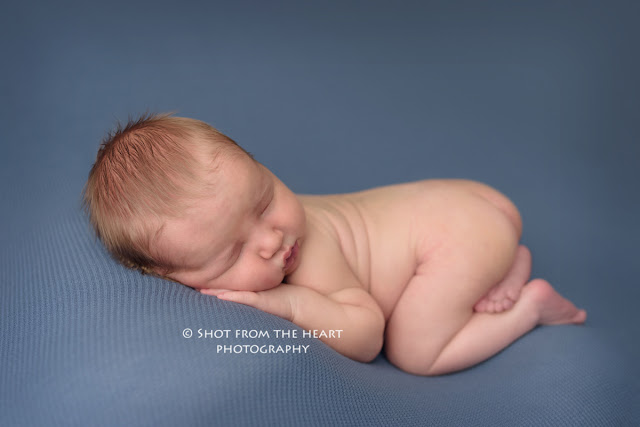 sleeping newborn baby boy in tushy up pose on blue backdrop