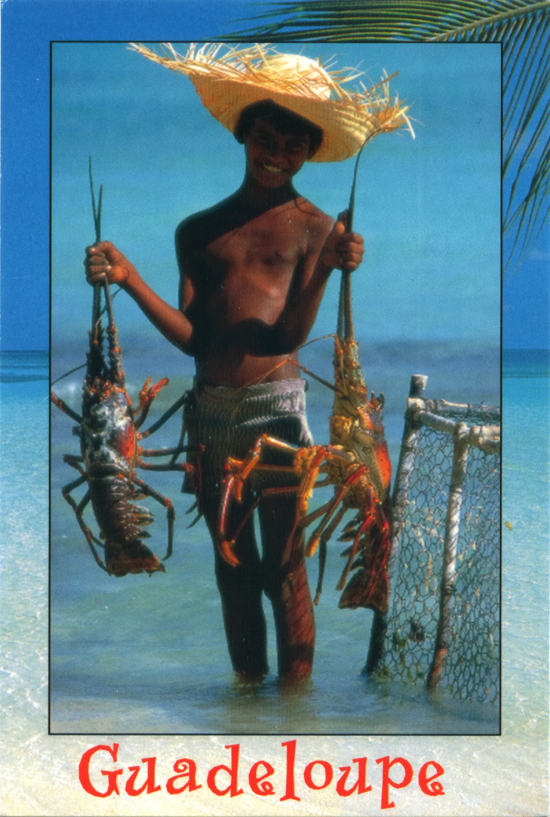 WORLD, COME TO MY HOME! 0885 FRANCE (Guadeloupe) Boy with lobsters