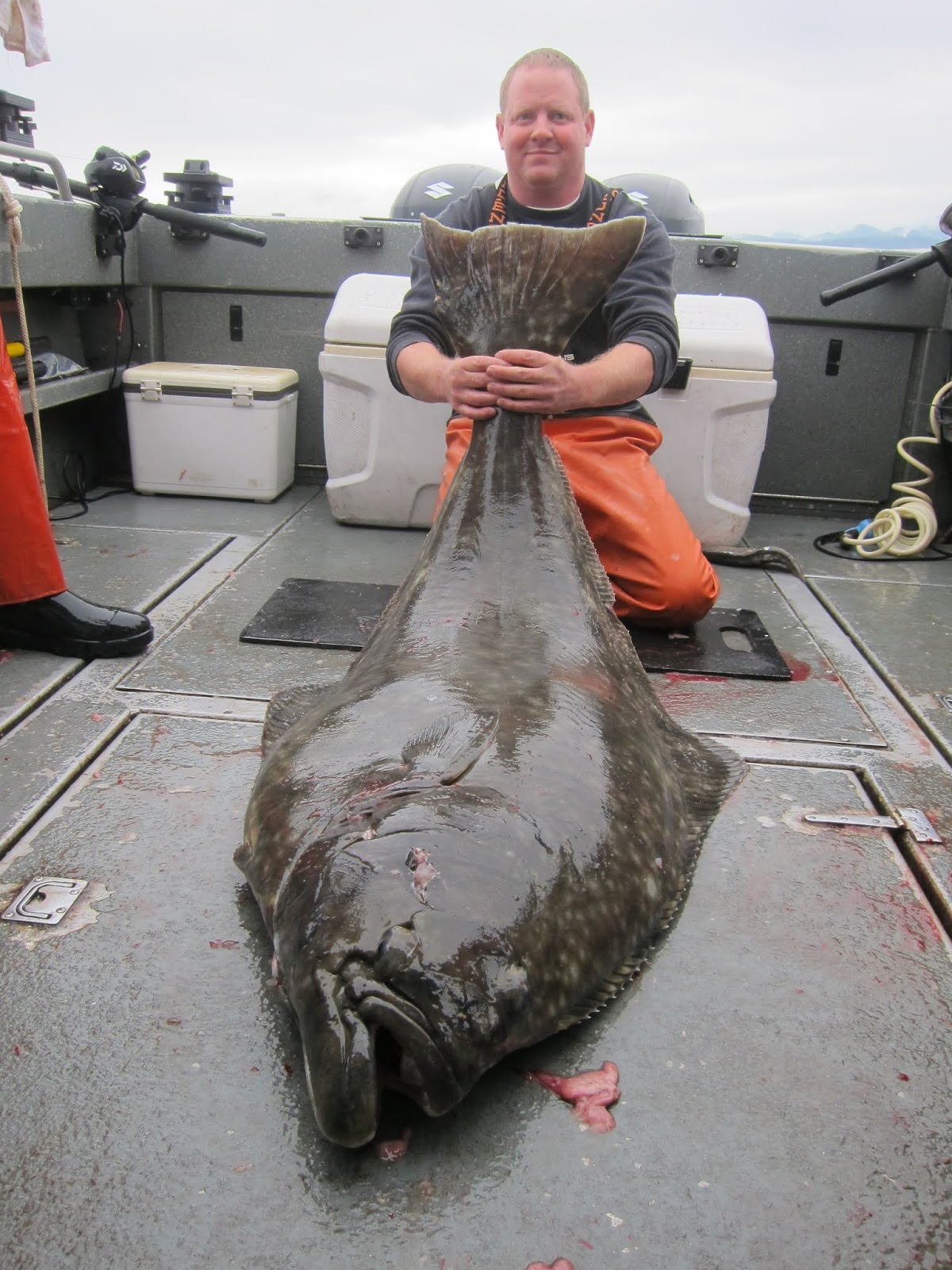 Todds Extreme Fishing Neah bay,Monster halibut, big lingcod, and lots