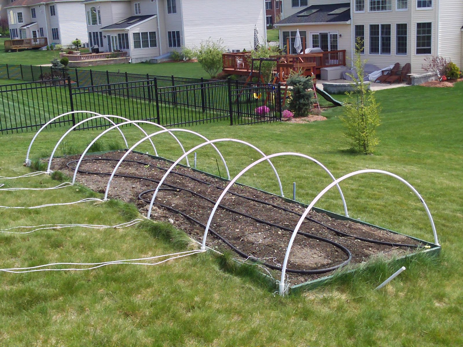 Dave's garden Low tunnel