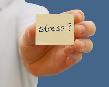 Principes et lois de la gestion du stress