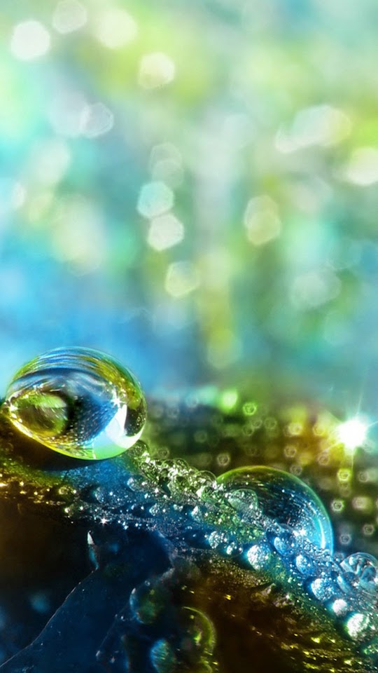 Green Water Drops Macro  Android Best Wallpaper