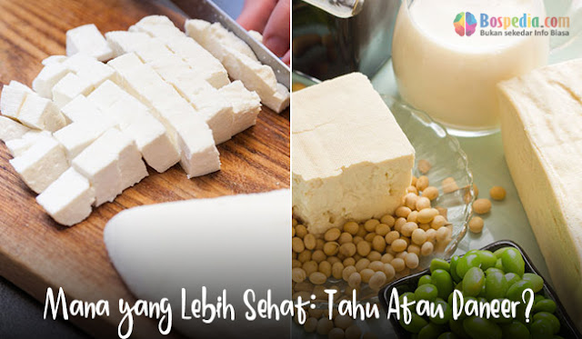 Mana yang Lebih Sehat: Tahu Atau Paneer?