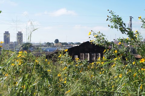 Fotografando nos entornos da ferroviária