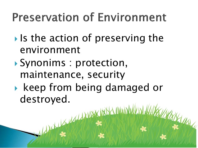 Environment preservation. The preservation of the environment. Environment preservation. Destroy vs preserve the environment ответы. природа земли.