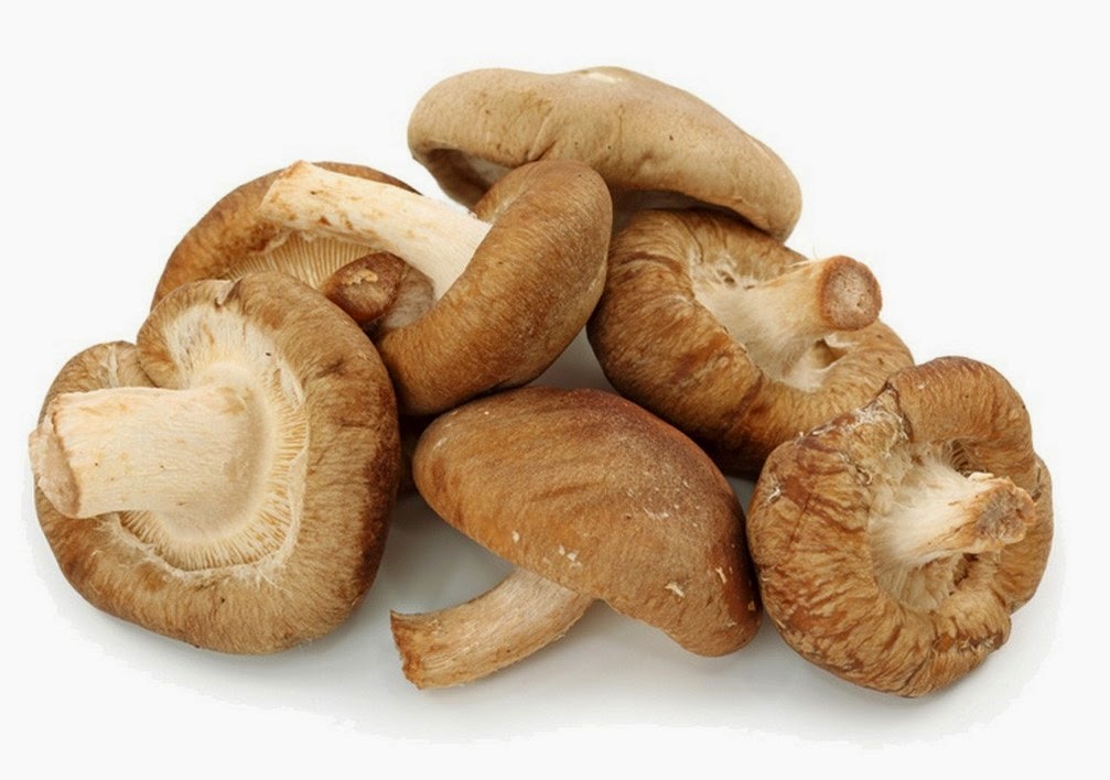 5 Manfaat Jamur untuk Kesehatan - Obat Sakit 2011