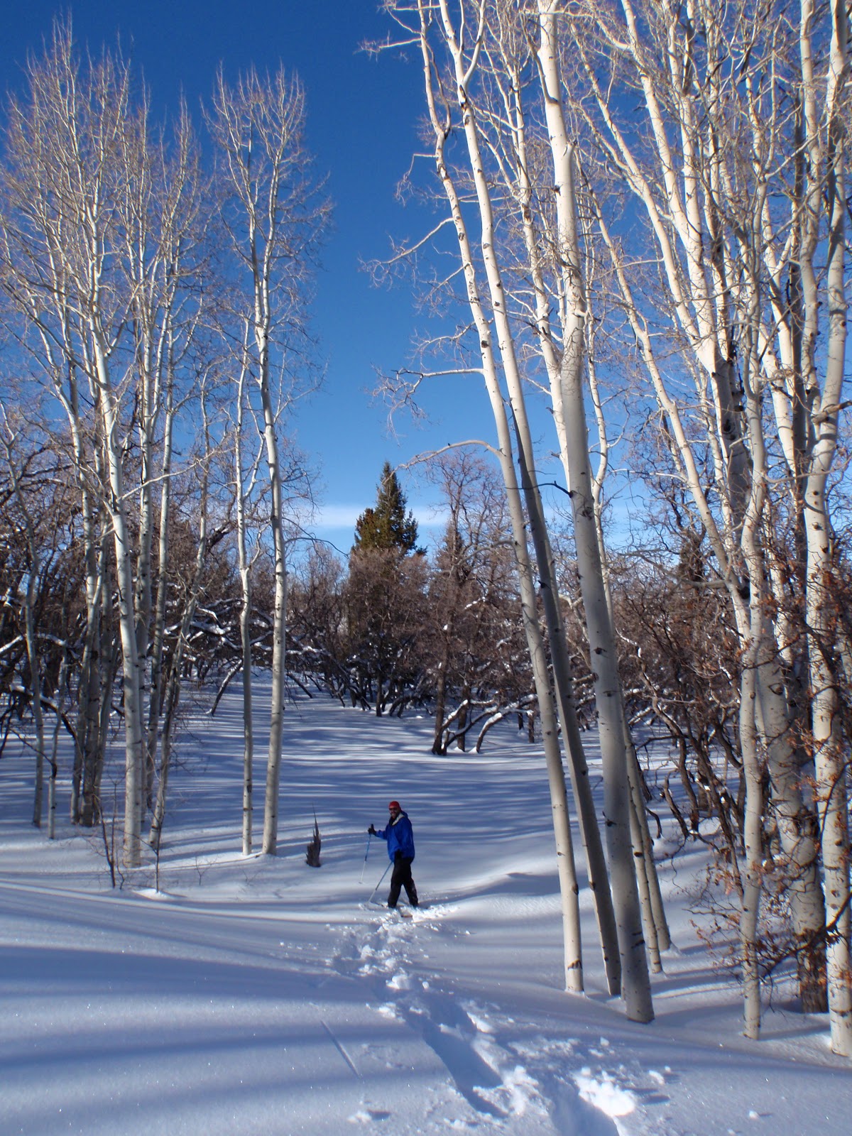 One Day in America Snowshoeing the Abajo Mountains in Southeastern Utah