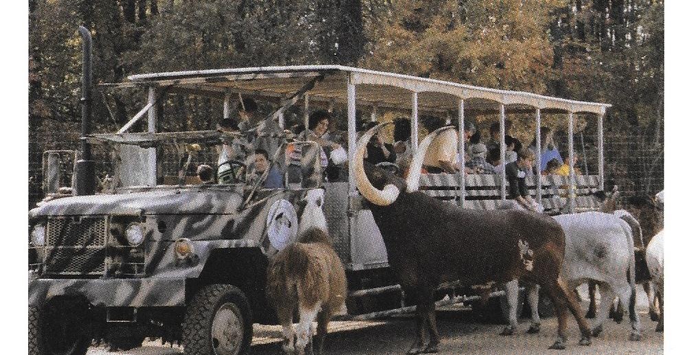 Kidding Around Wagon Trails Safari Adventure in Vienna, Ohio