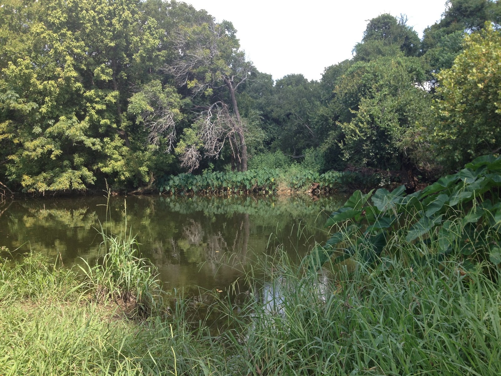 Somewhere In The Middle of Texas Chisholm Trail