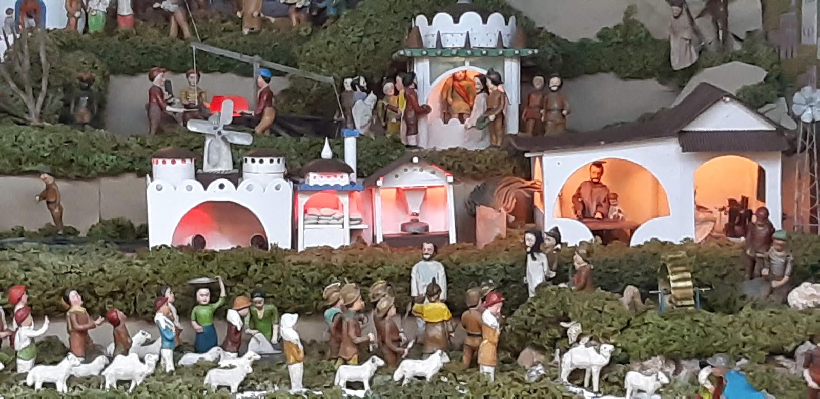 Meu gabinete de curiosidades