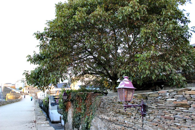 muralla-lugo-camino-de-santiago-primitivo-farolillo