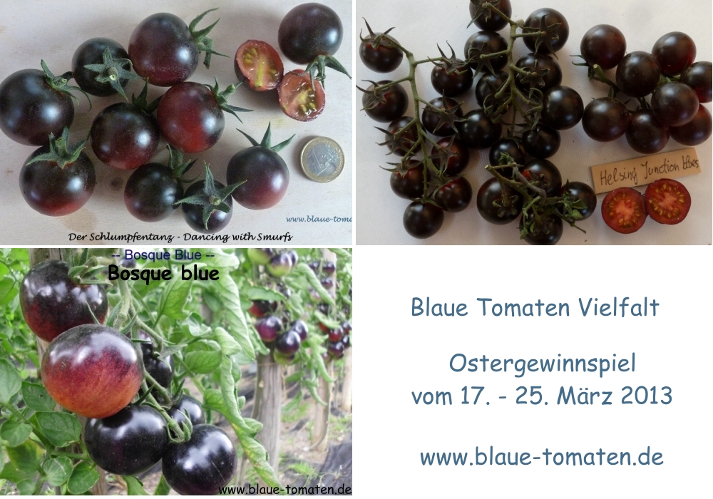 Kleiner Gemüsekönig: März 2013