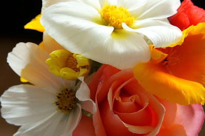 allotment cut flowers - 'growourown.blogspot.com' - an allotment blog