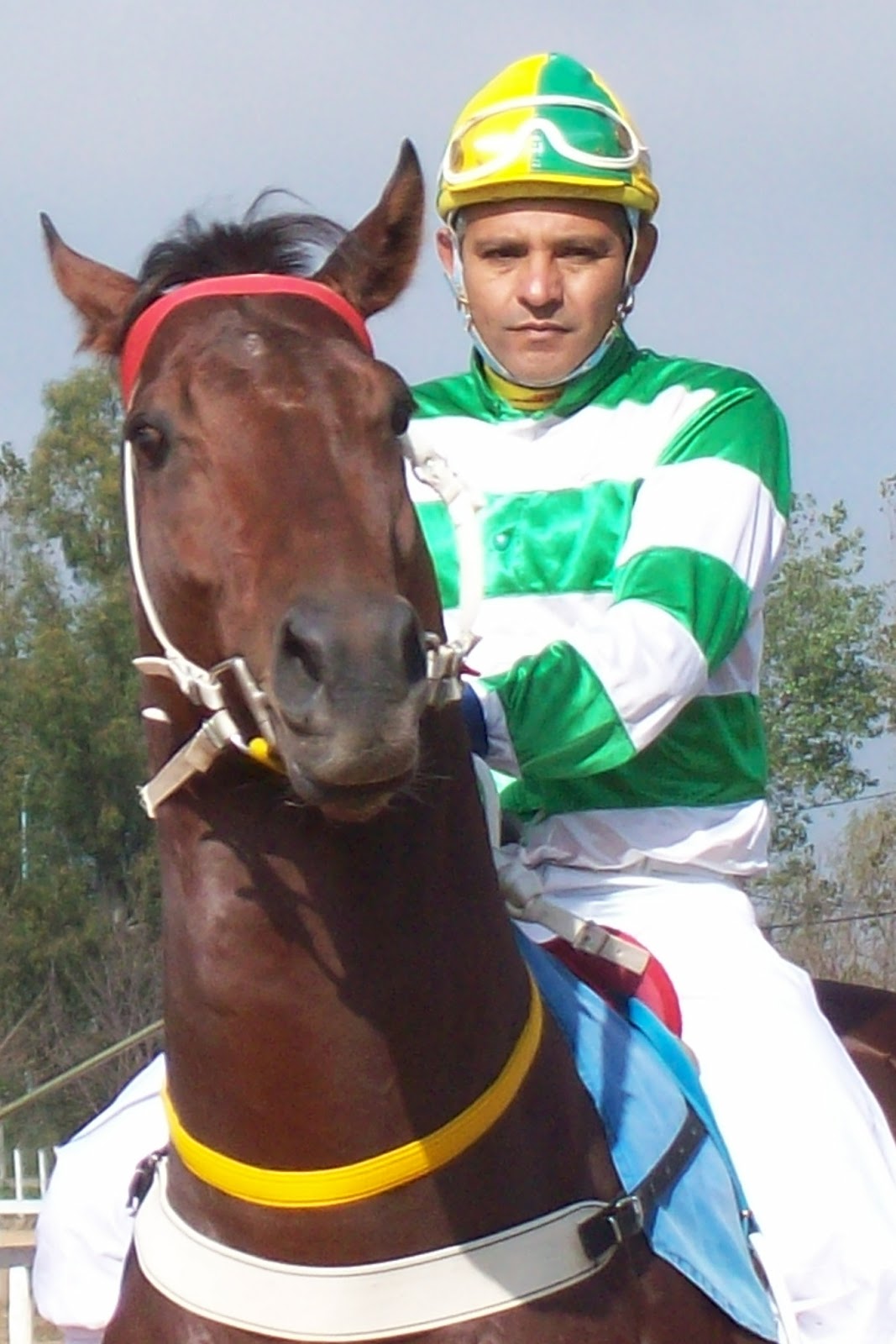 Bandera Verde Julio Lezcano y Luis Ojeda, al tope de las estadísticas