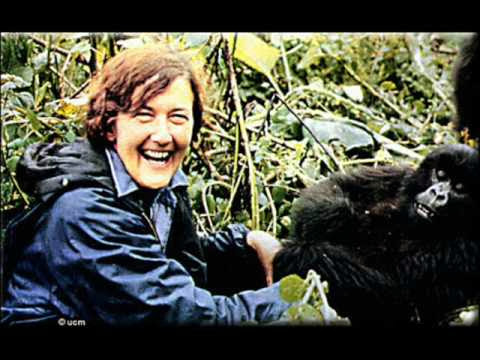 Dian Fossey 1932-1985 Αμερικανή ζωολόγος