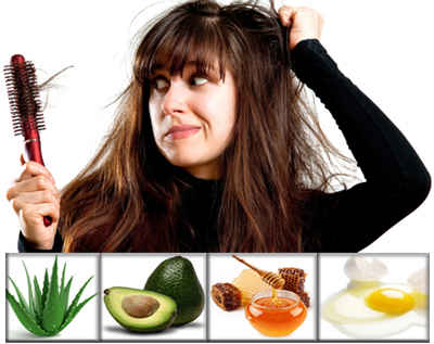Cara Mengatasi Rambut Rontok Parah Dengan Lidah Buaya - Plaza Indo