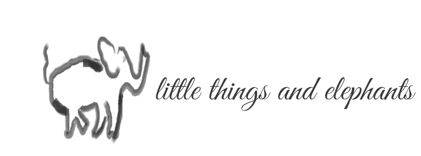 little things and elephants 