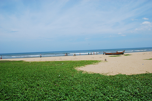 Tamilnadu Tourism: Thiruvanmiyur Beach (Breezy Beach), Chennai