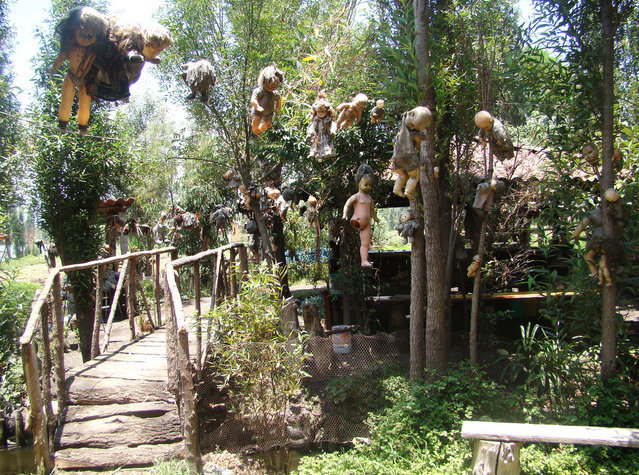 Be Careful You Will Be Watched By The Dolls On This