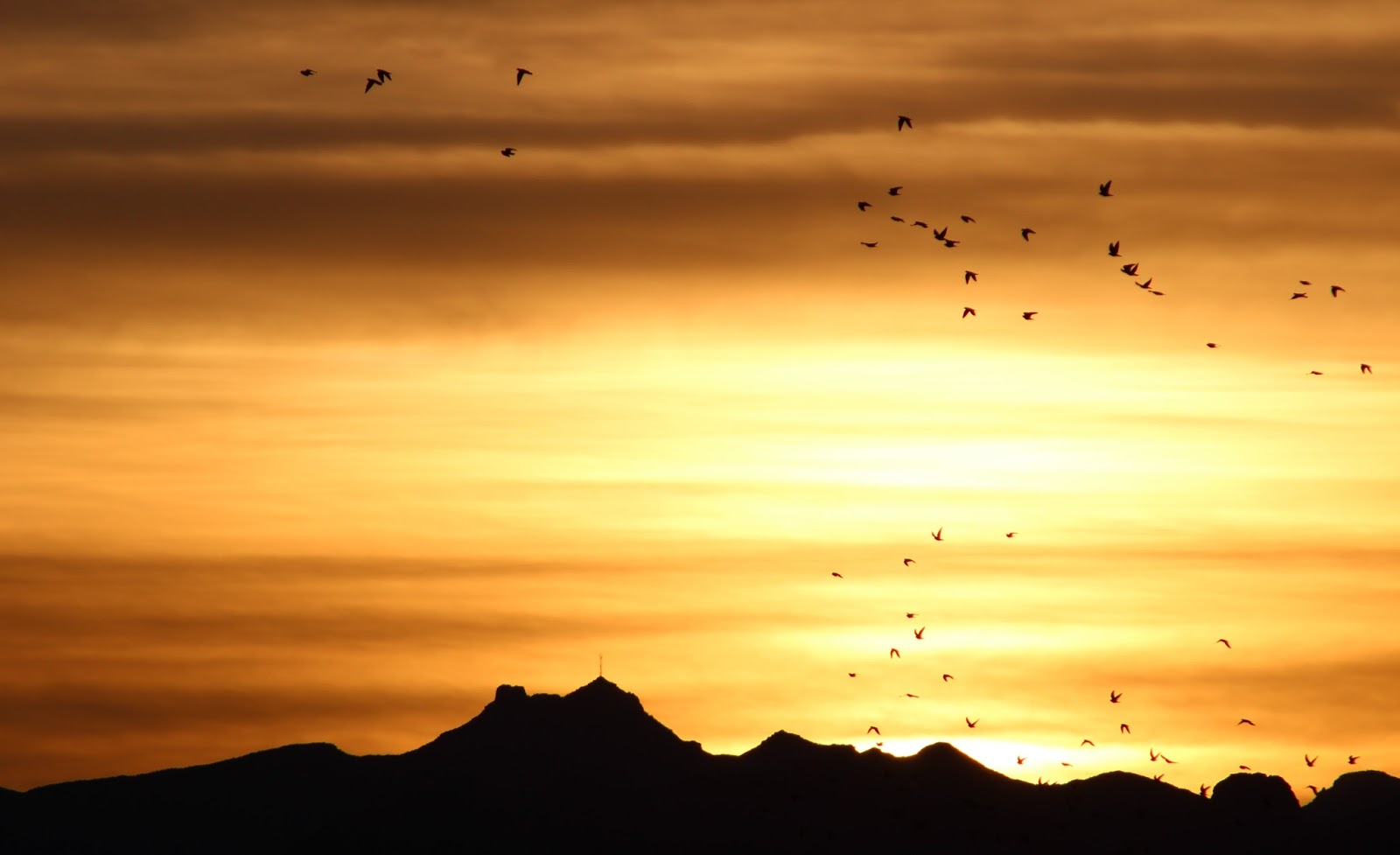 Laughlin Buzz Laughlin In Photos Weekly Recap 121116