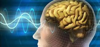 أساليب وفنيات البحث فى علم النفس الفسيولوجى