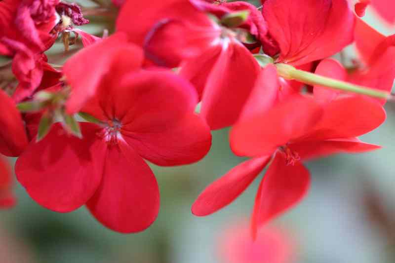 원주 구룡사 원주 구룡사