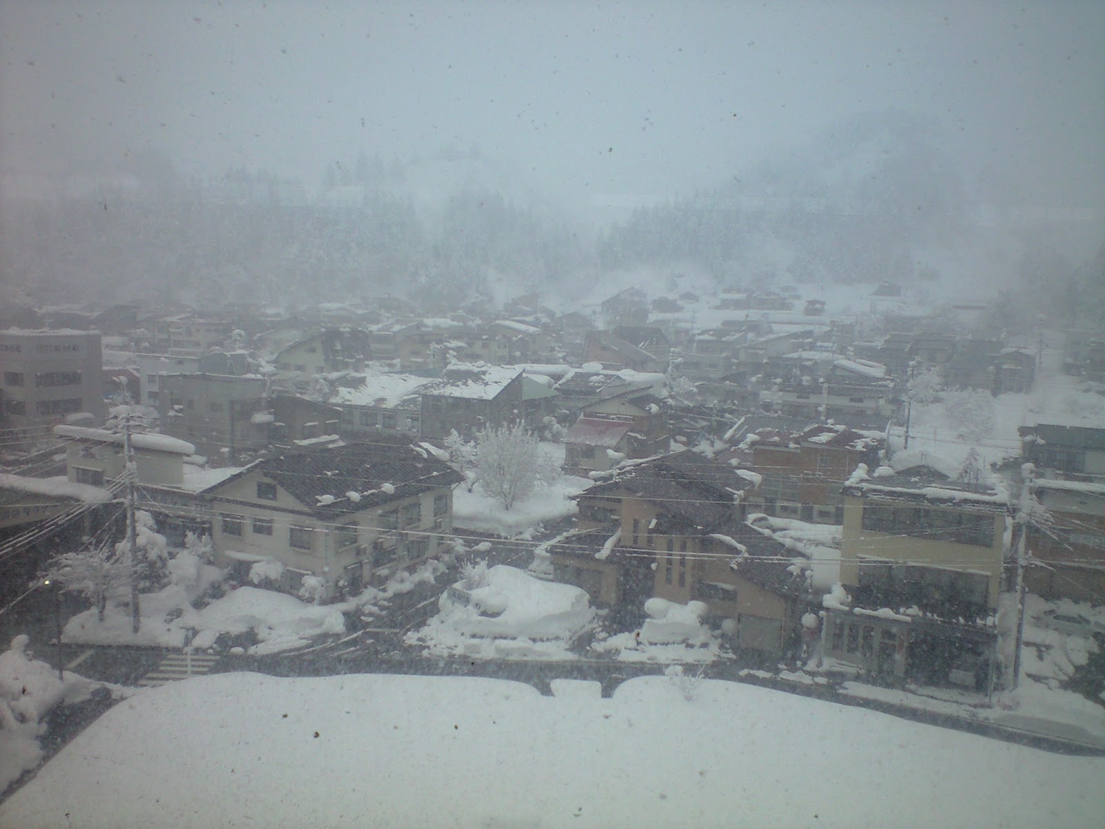 JAPAN through my eyes At Urasa city