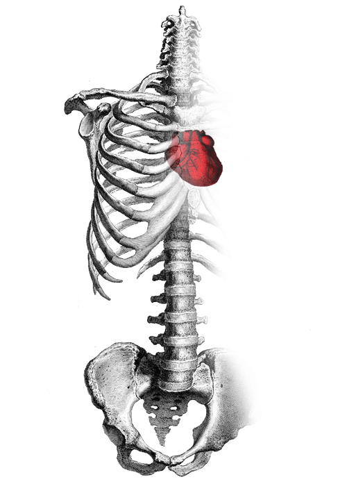 Featured image of post Fondos Tumblr Medicina