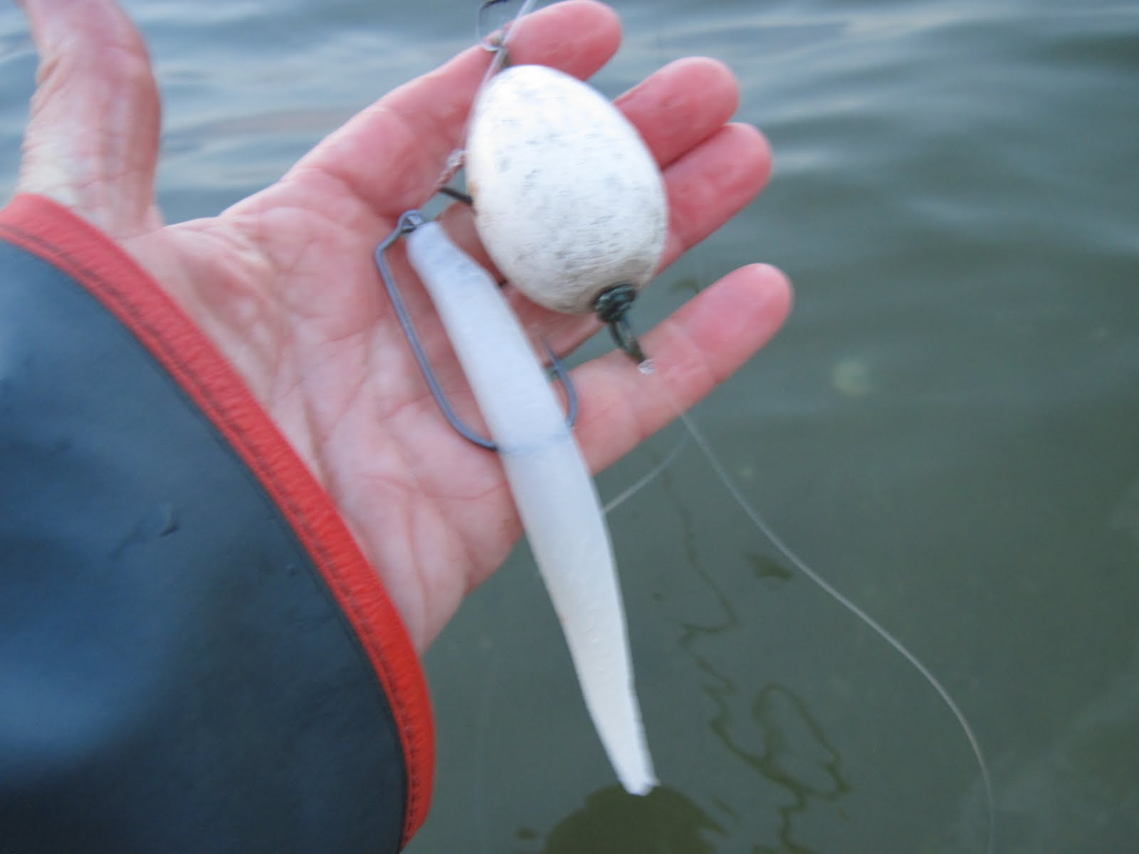 Rhode Island Striped Bass Float 'n' Plastic