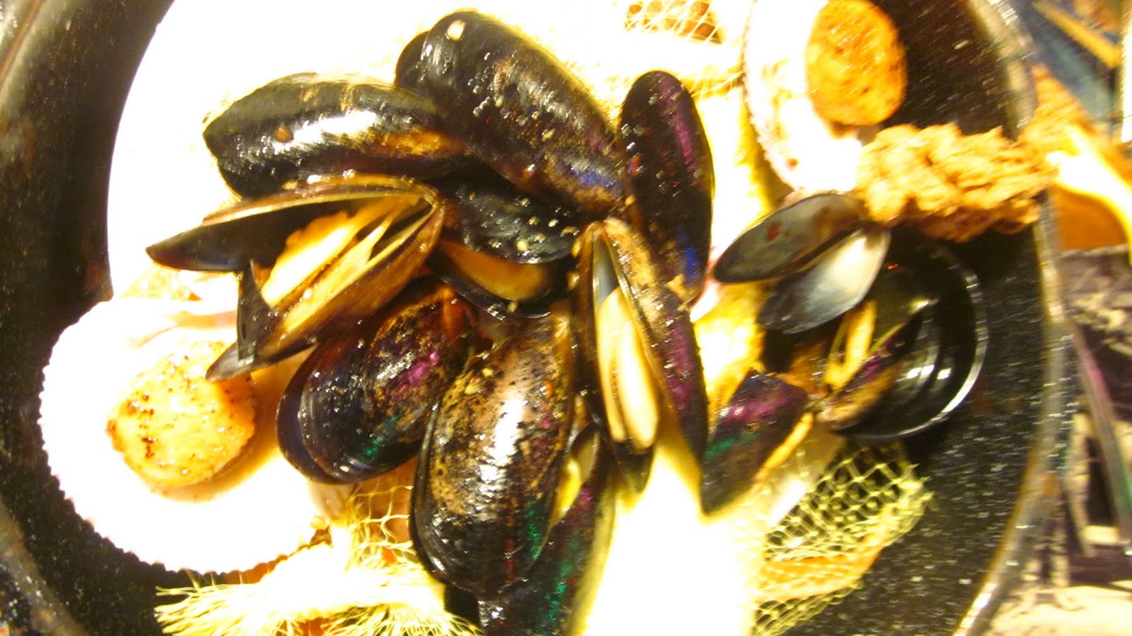 My Kitchen Diary Καβούρια και θαλασσινά / Joe's Crab Shack (Pittsburgh