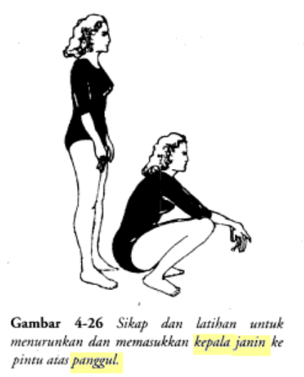 Bentuk Perut Saat Bayi Sudah Masuk Panggul Berbagi Bentuk