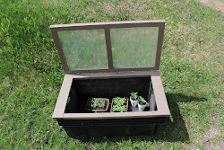 greenhouse box garden bills plastic tips mini posted